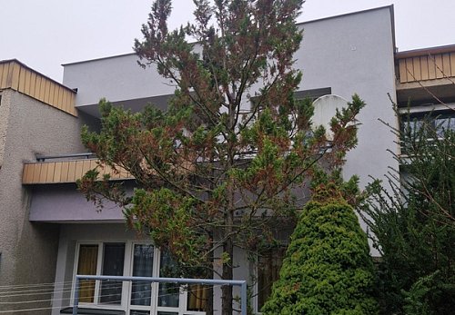 Zateplení rodinného domu Havířov - Bludovice
